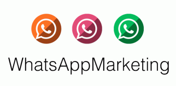 Bulk WhatsApp SMS